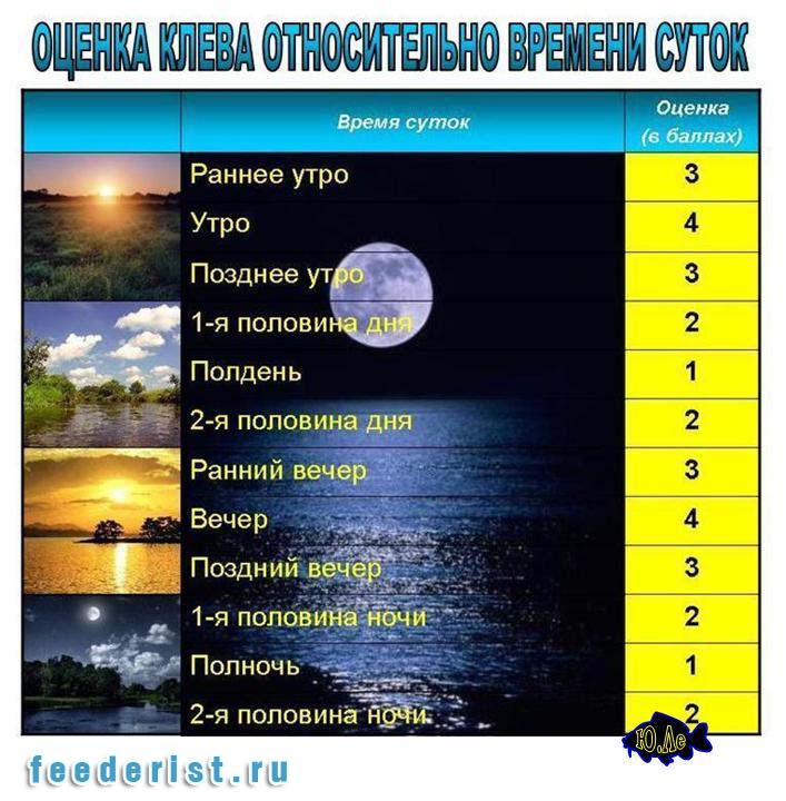 Клев после. Фазы Луны влияющие на клев рыбы. Влияние фазы Луны на клев. Влияние фаз Луны на клев рыбы. Влияние лунных фаз на клев рыбы.