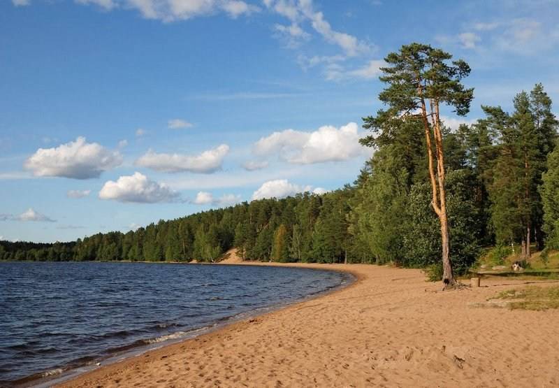 Озеро красавица, ленинградская область. рыбалка, озеро на карте, отдых на озере, фото озера, погода на озере, как добраться — туристер.ру