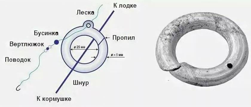 Ловля леща на кольцо: снасть и оснастка, прикормка и наживки