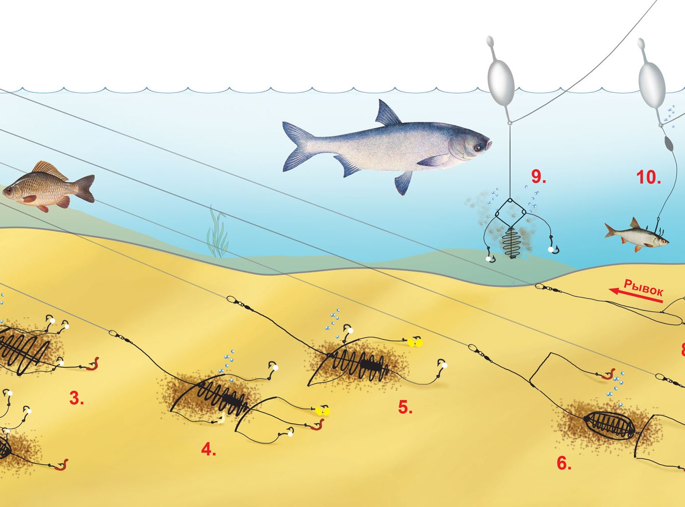 Ловля сазана: как правильно ловить на удочку, необходимая длина поводка для рыбалки