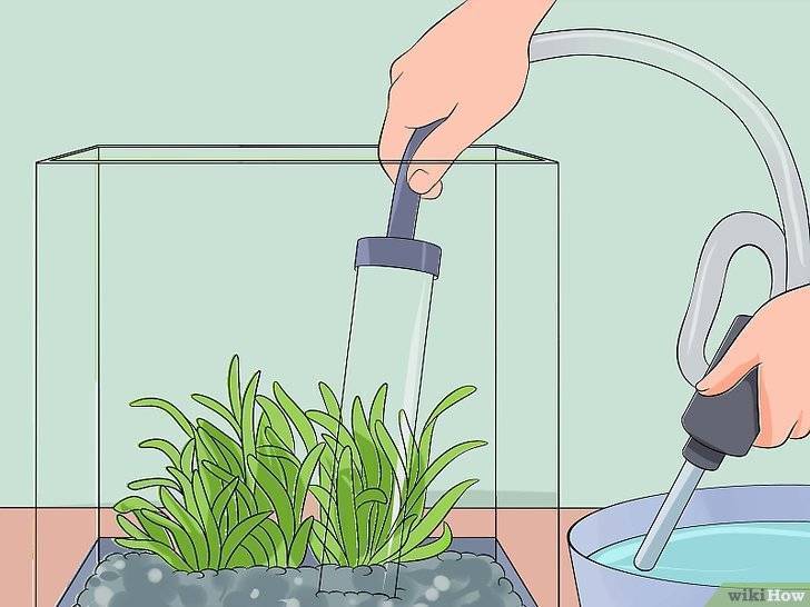 Вода для аквариума в домашних условиях: какая нужна, как подготовить, какая должна быть, аквариумная вода для рыб
