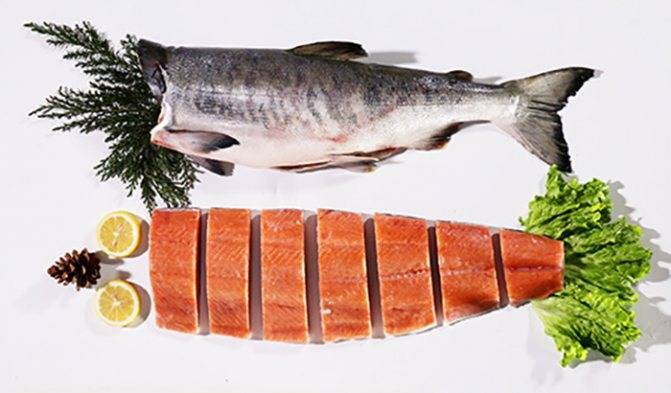 Горбуша – состав и калорийность рыбы, польза и вред