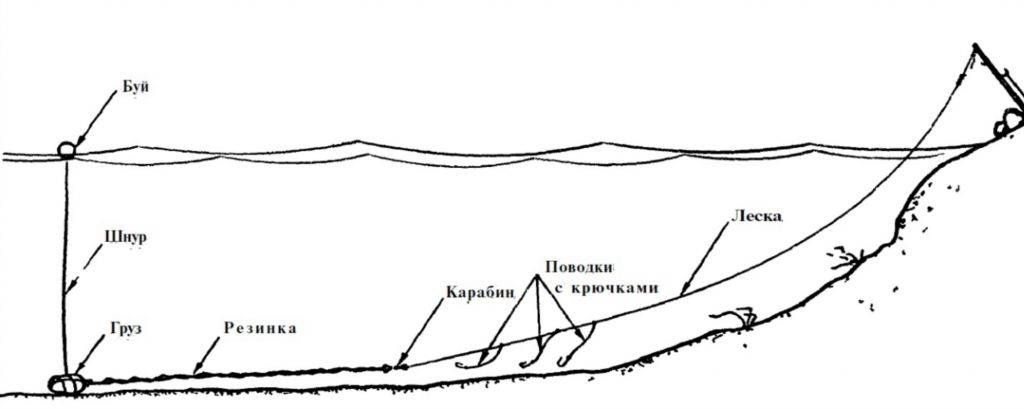 Донная снасть на осетра схема