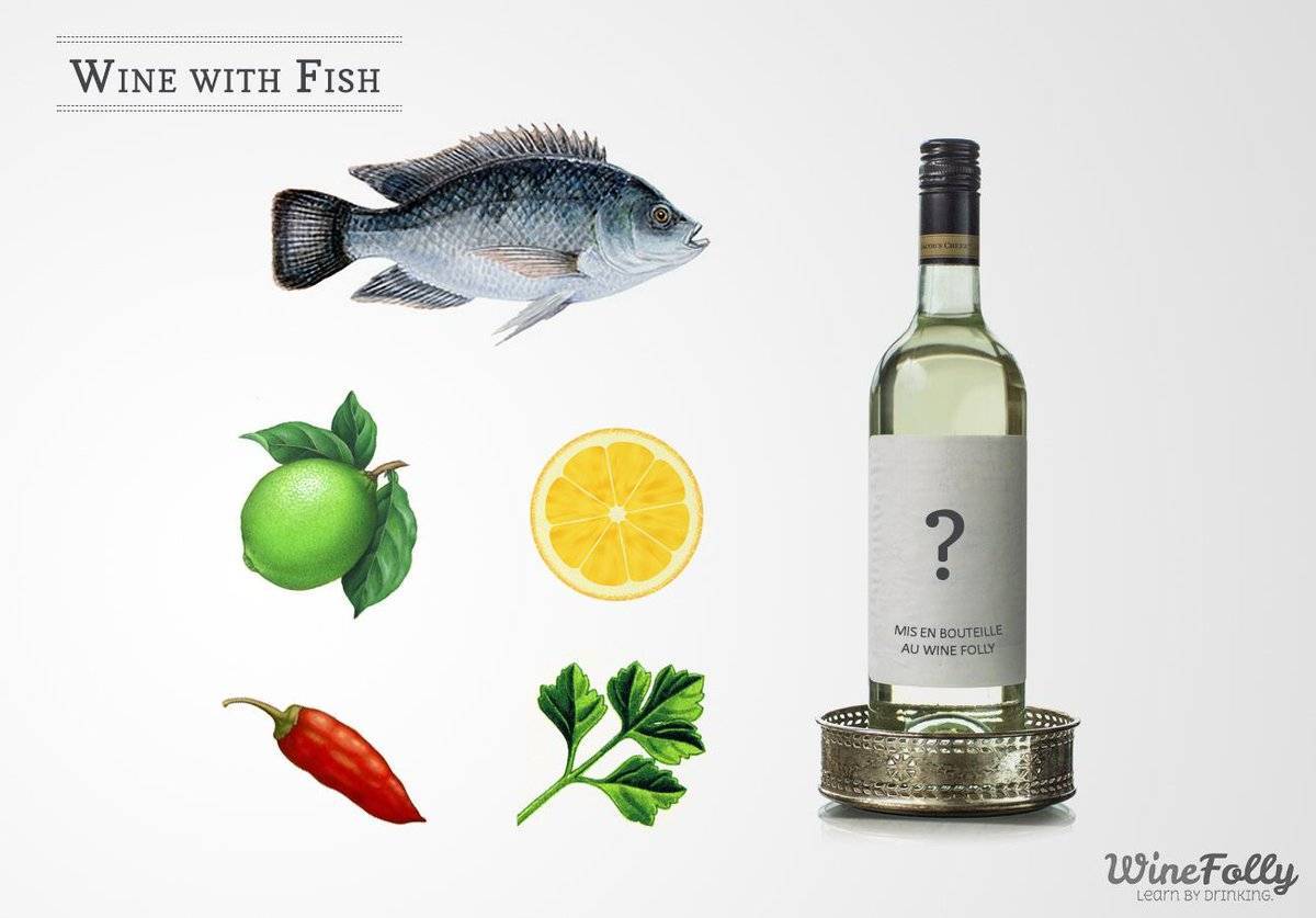 Какое вино лучше всего под рыбу — советы кулинаров
