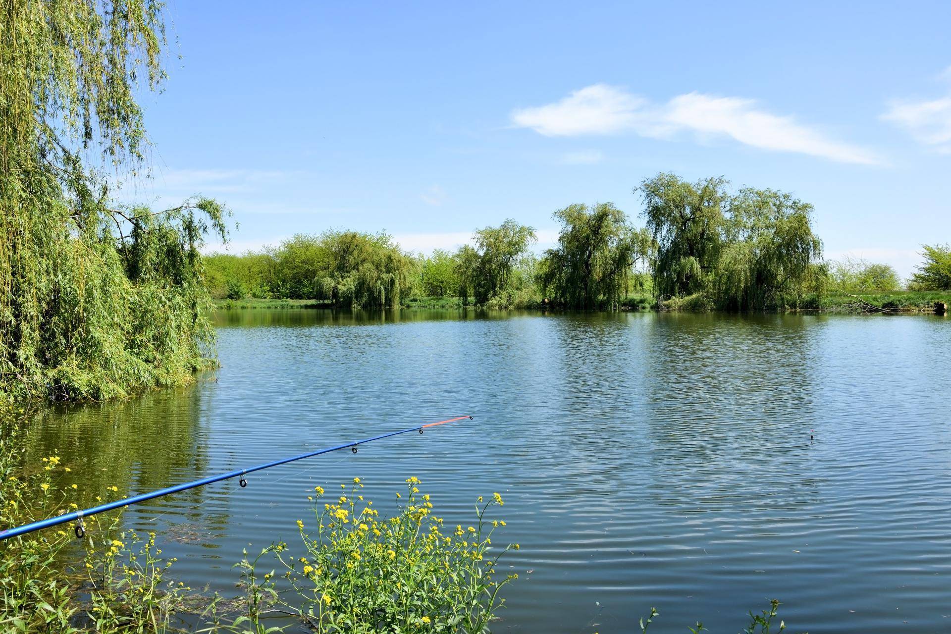 12 лучших рыболовных мест курганской области
