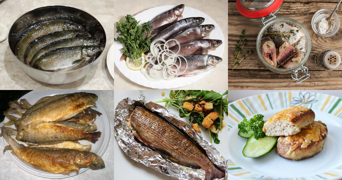 Рыба чехонь: рецепты приготовления, калорийность, польза и вред, как солить