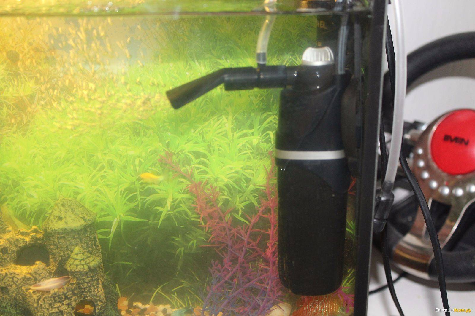 Уход за фильтром для аквариума. как правильно почистить устройство?