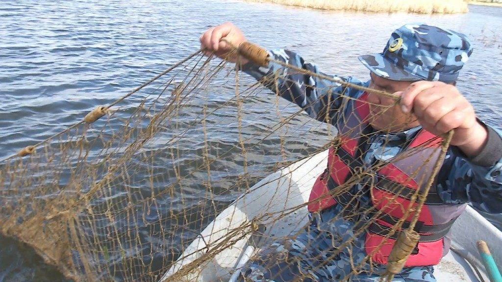 Лов рыбы сетью