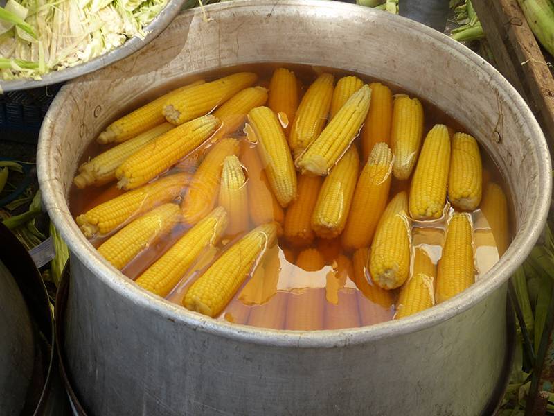Сколько варить молочную кукурузу: как правильно готовить в кастрюле, можно ли брать ее в початках?