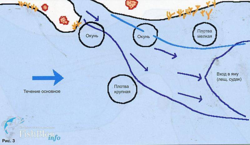 Где находится рыба. Места ловли окуня зимой. Окунь на реке зимой места стоянки. Место стоянки леща на реке. Места стоянки рыбы зимой.
