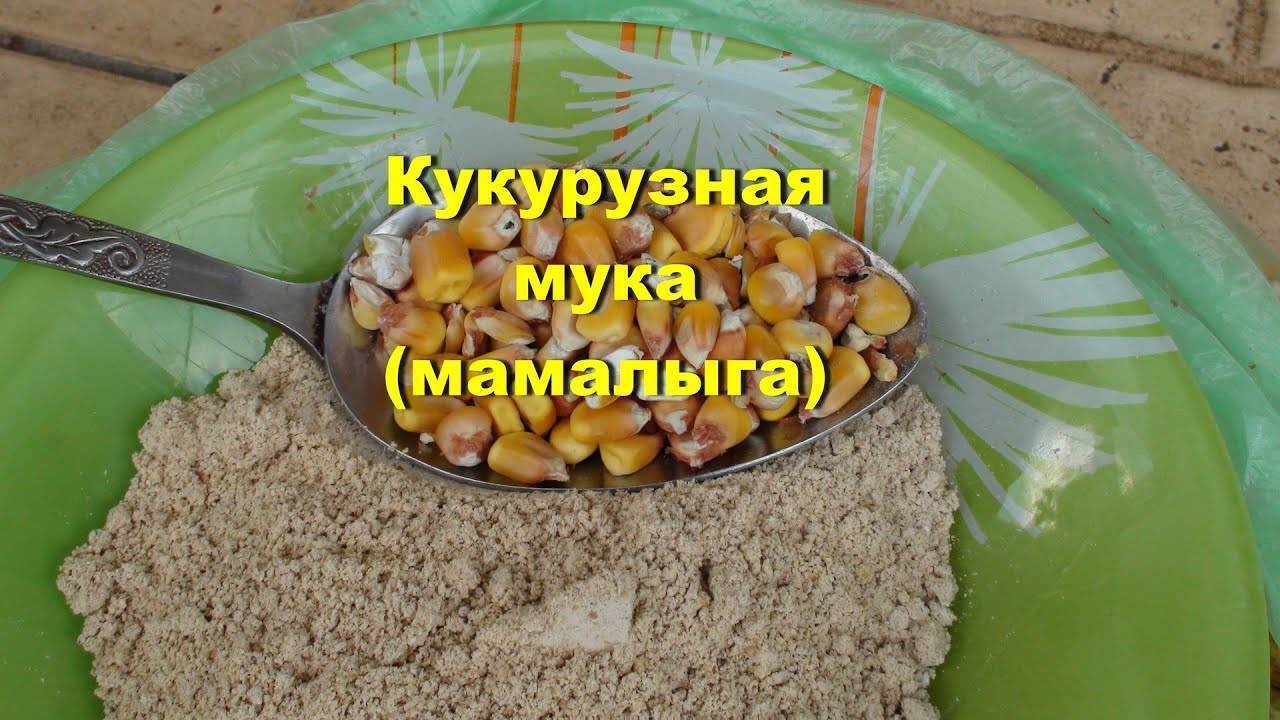 Варим мамалыгу для рыбалки