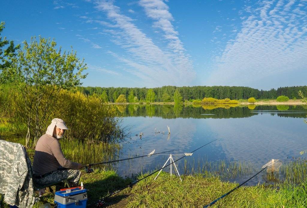 Рыбалка в калужской области в 2022 году: платные и бесплатные места