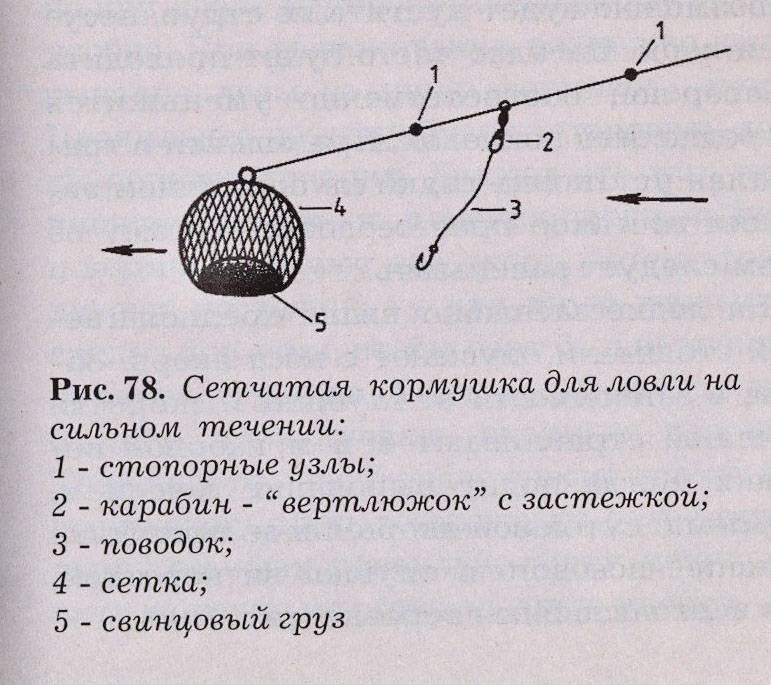 Ловля леща на кольцо: оснастка и описание, выбор места