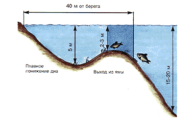 На какой глубине лещ