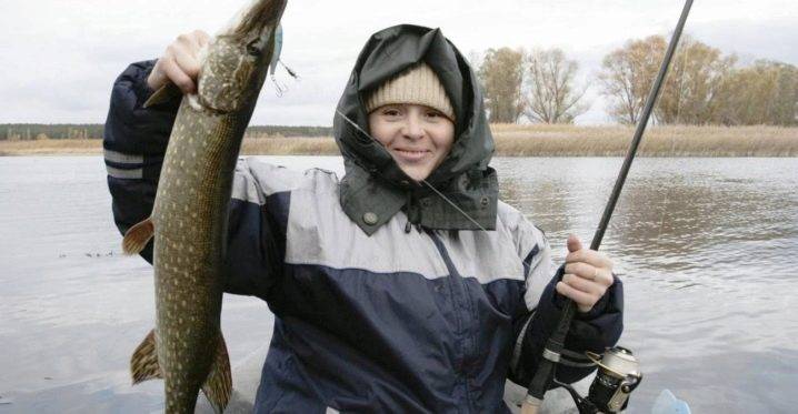 Рыбалка в новгородской области: лучшие места на карте топ-10