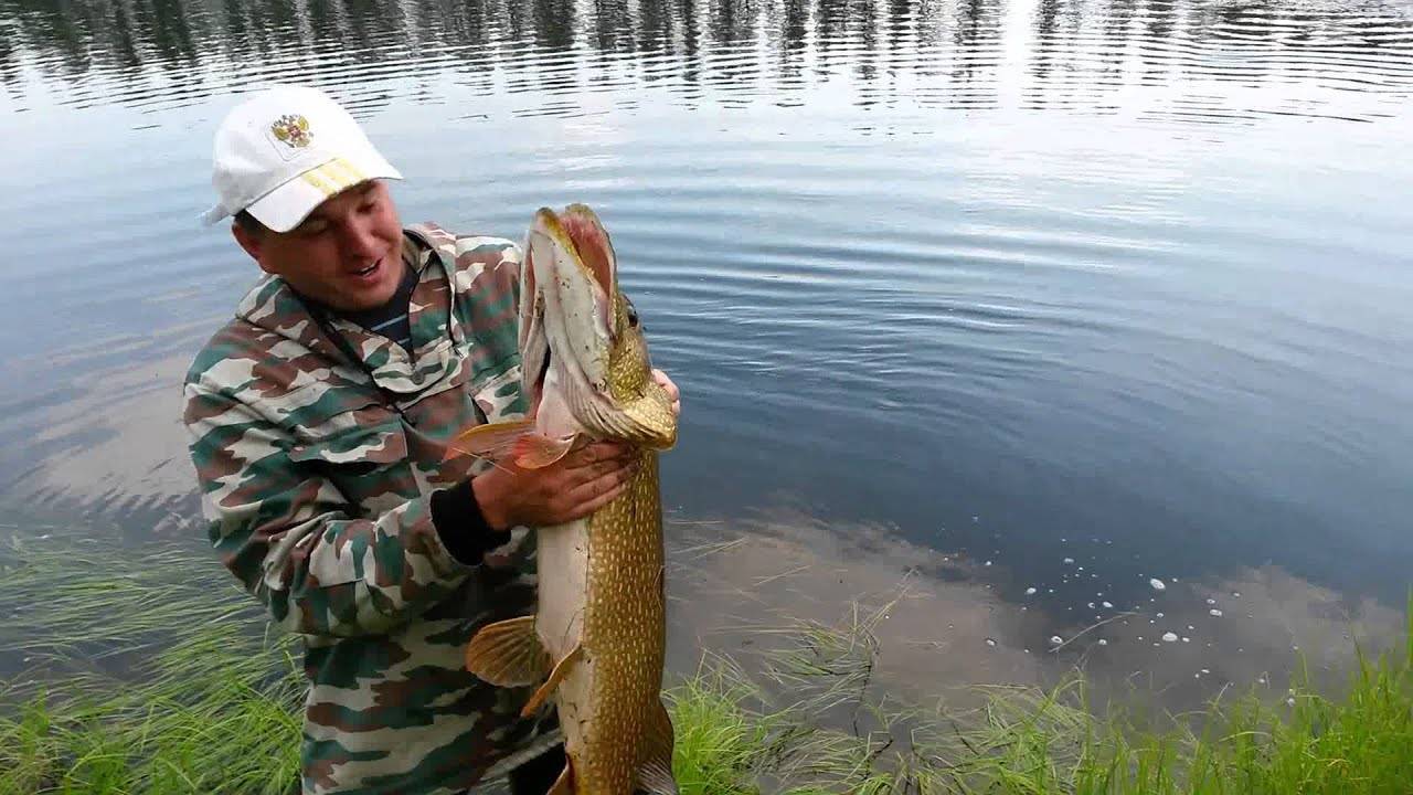 Места для рыбалки в забайкальском крае – платная и бесплатная рыбалка!