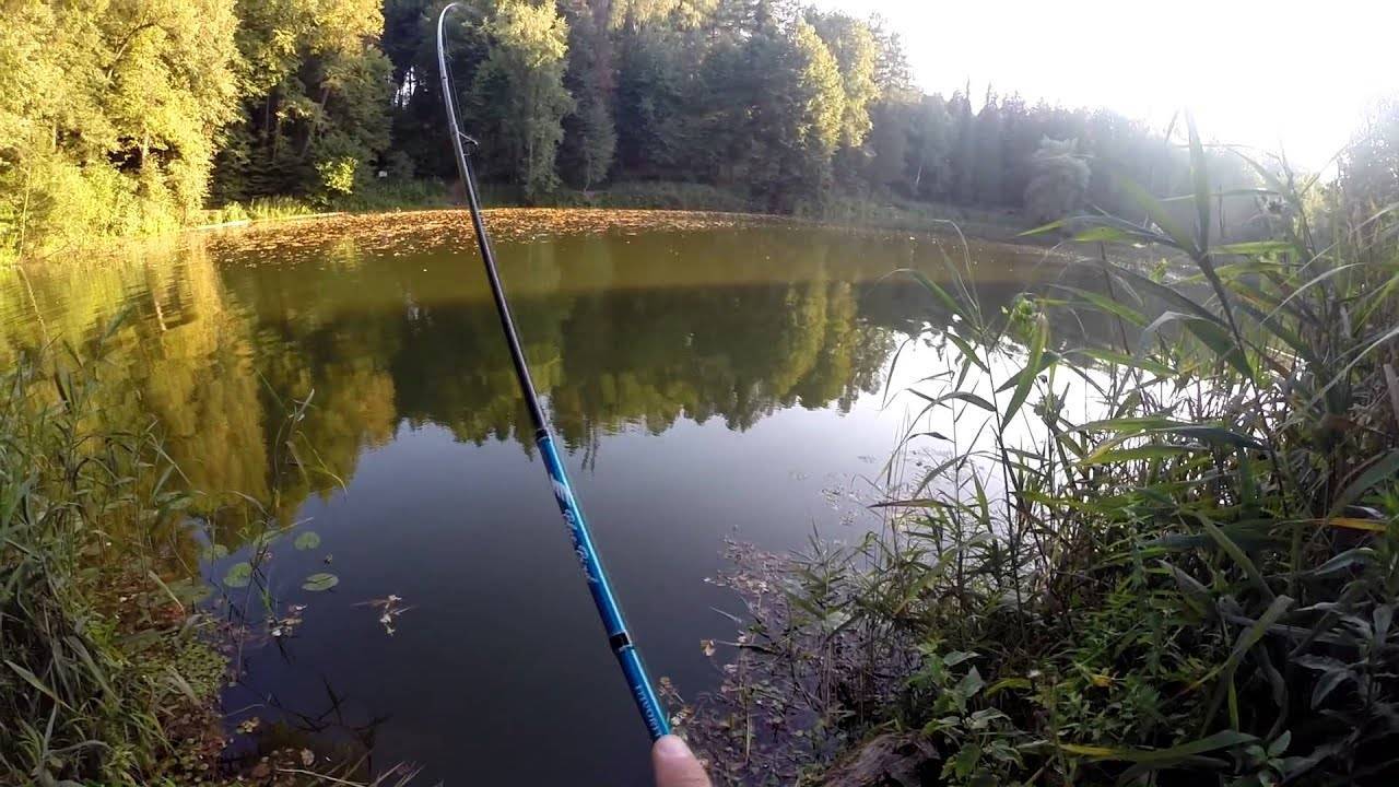 Рыбалка в таганроге: описание местных водоемов, где лучше ловить