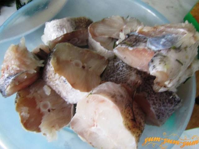 Лобань – рыба для здорового питания :: syl.ru