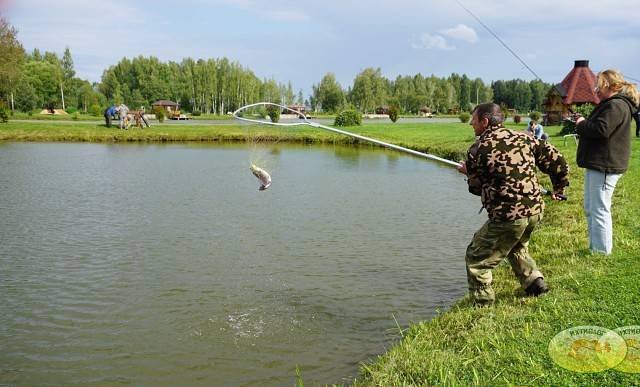 Рыбалка в волоколамском районе