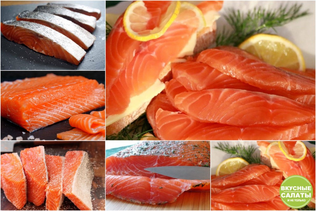 Как правильно солить красную рыбу в домашних условиях сухим способом и в рассоле, целиком и кусочками: рецепты с фото. как выбрать красную рыбу для засолки?