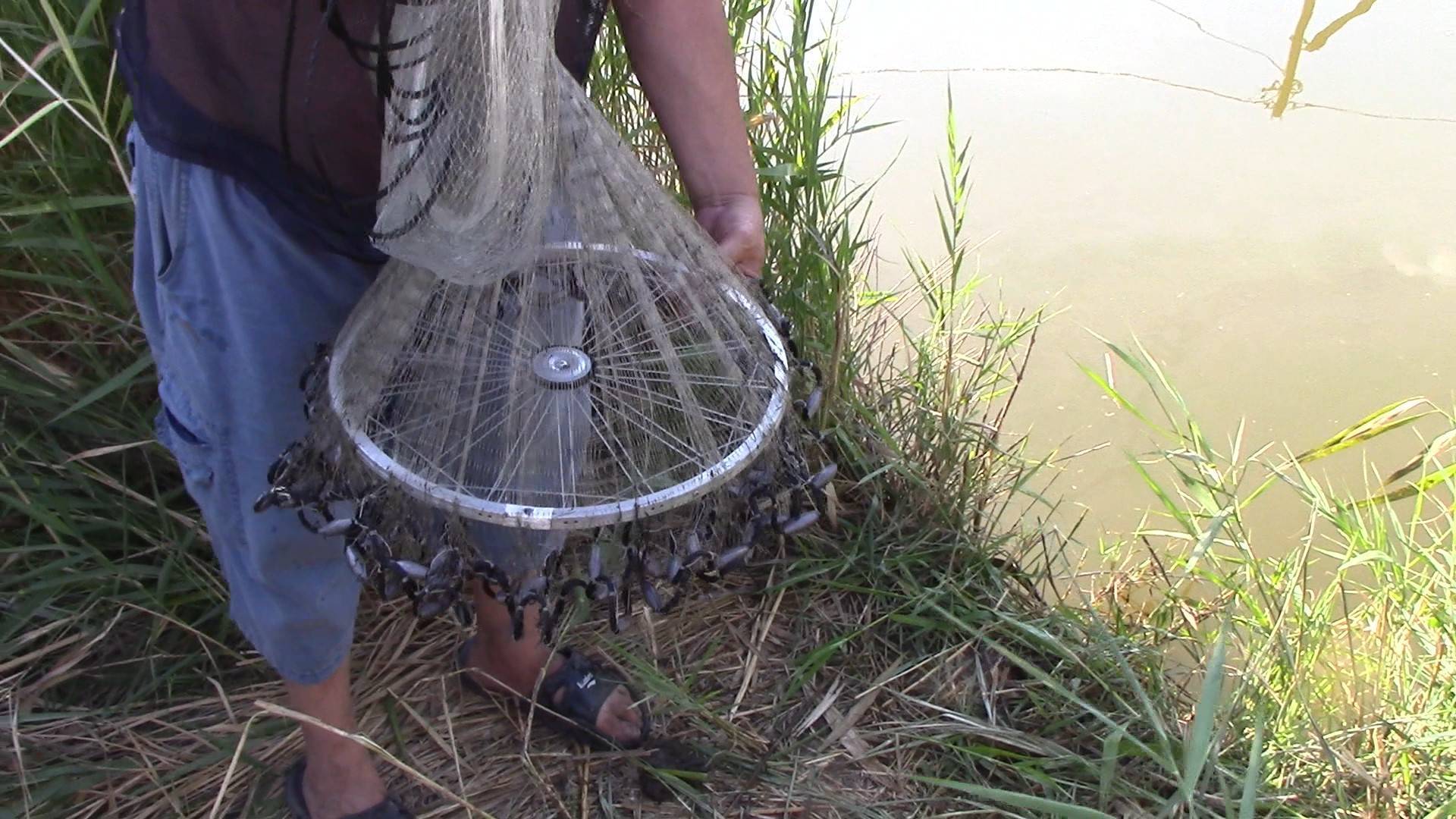 Кастинговая сеть с большим кольцом: как забрасывать кастинговые сети? техника ловли рыбы на рыбалке, устройство сети