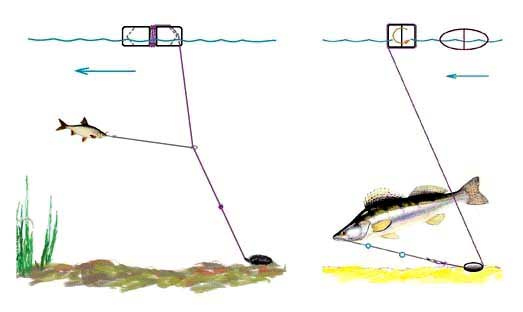 Ловля щуки на живца: как ловить с берега (летом, осенью), оснастка, насадки