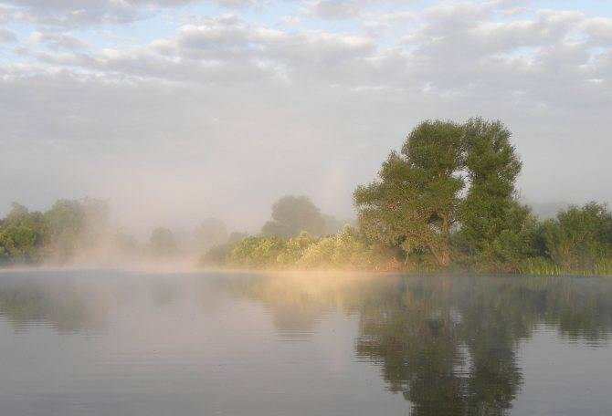 река угра какая рыба водится в реке. Смотреть фото река угра какая рыба водится в реке. Смотреть картинку река угра какая рыба водится в реке. Картинка про река угра какая рыба водится в реке. Фото река угра какая рыба водится в реке