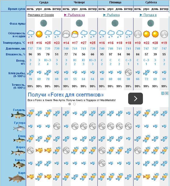 Клев рыбы в новолуние - рыболов