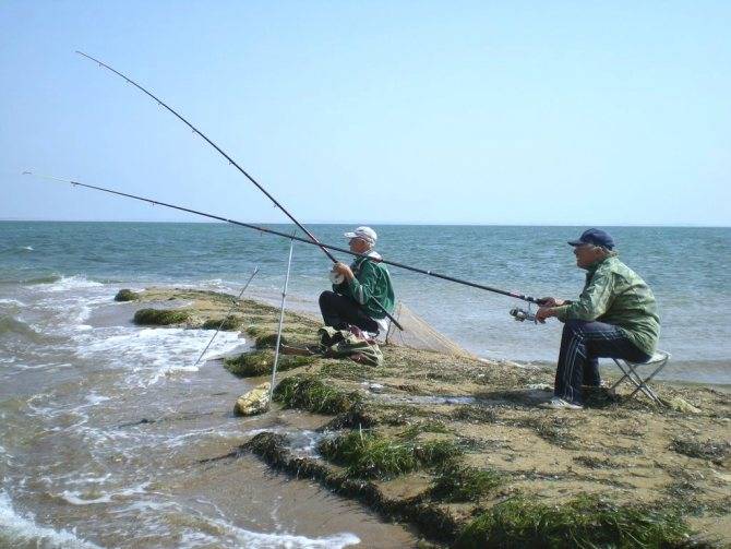 Рыбалка на черном море с берега спиннингом, на блесну. снасти. подводная рыбалка на черном море :: syl.ru