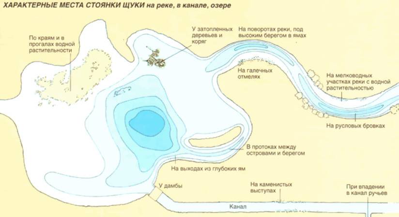 Карта рыболовных мест орловской области | описание и фото