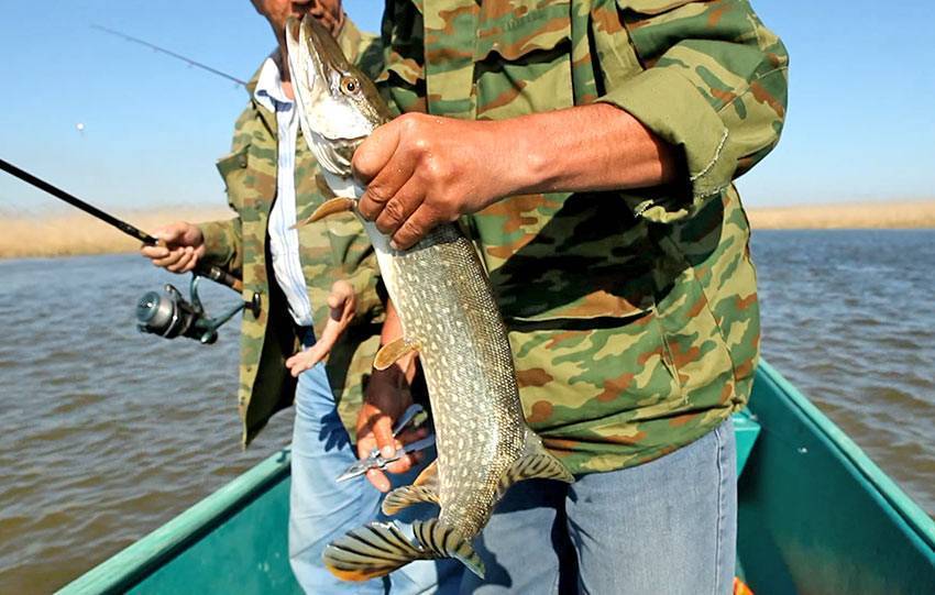 Рыболовные базы на волге – список лучших для успешной рыбалки