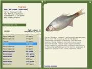 Рыба горчак: описание вида, поведения, зачем и на что ее ловить