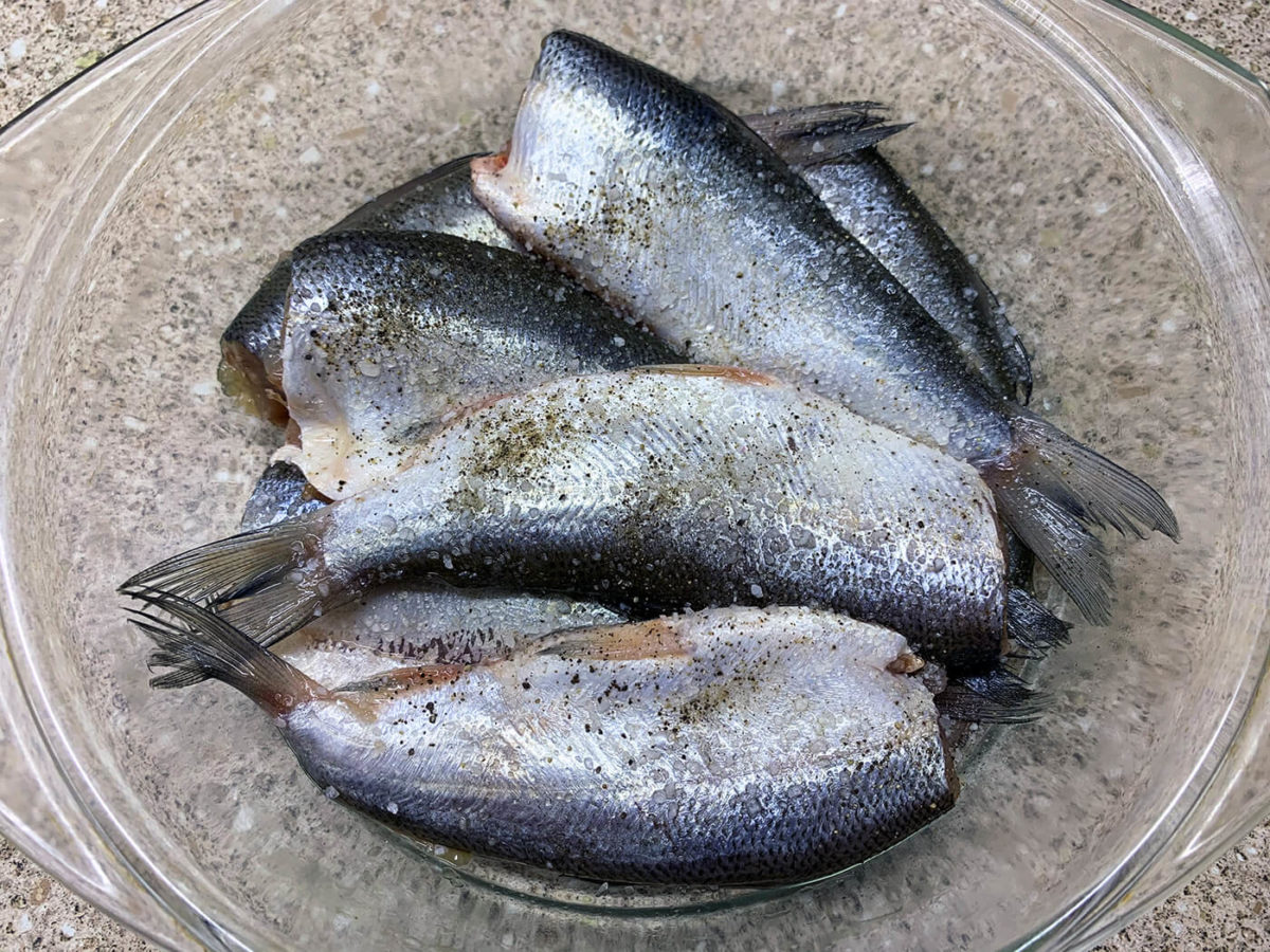 Рыба пелядь рецепты приготовления — кулинария, рецепты