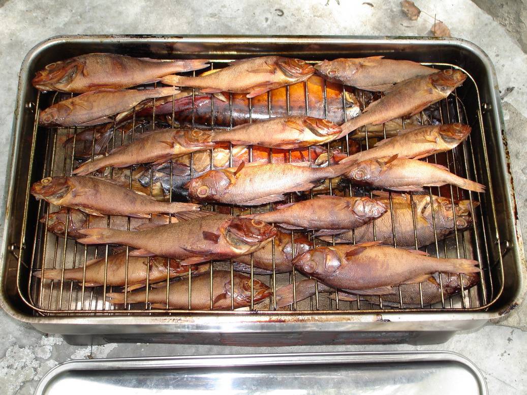 Как коптить рыбу в коптильне горячего копчения в домашних условиях?
