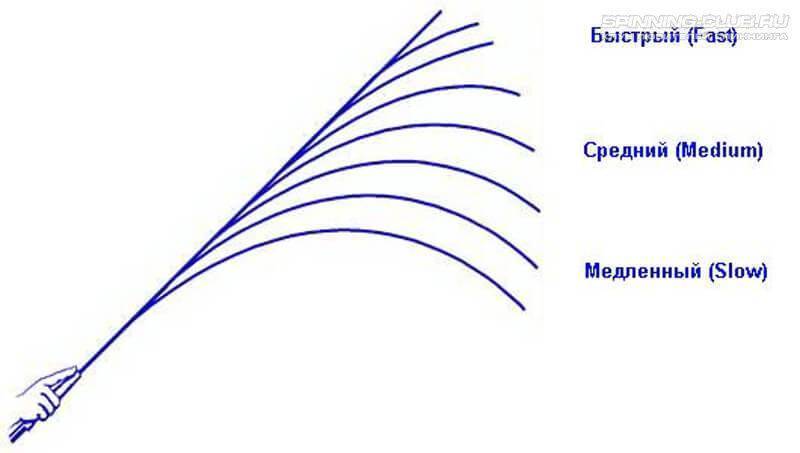 Как выбрать спиннинг начинающему рыболову