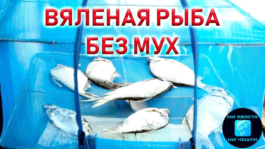 Сколько хранится вяленая рыба в холодильнике. Вялить рыбу без мух. Способы вяления рыбы. Защита от мух при вялении рыбы. Вяленая рыба без мух.