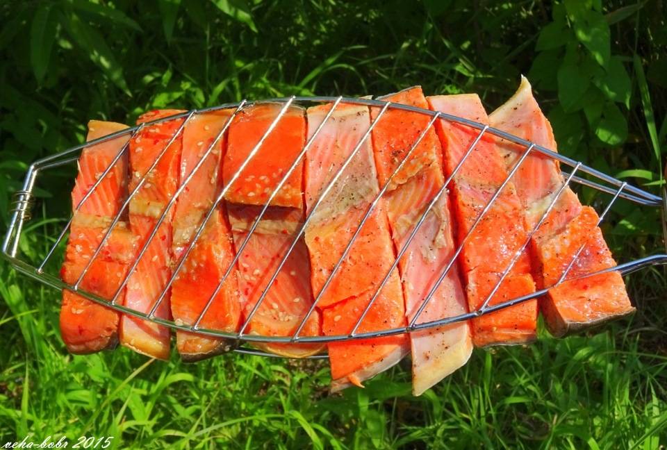 Рыба на гриле: рецепт приготовления. маринад для рыбы на гриле :: syl.ru