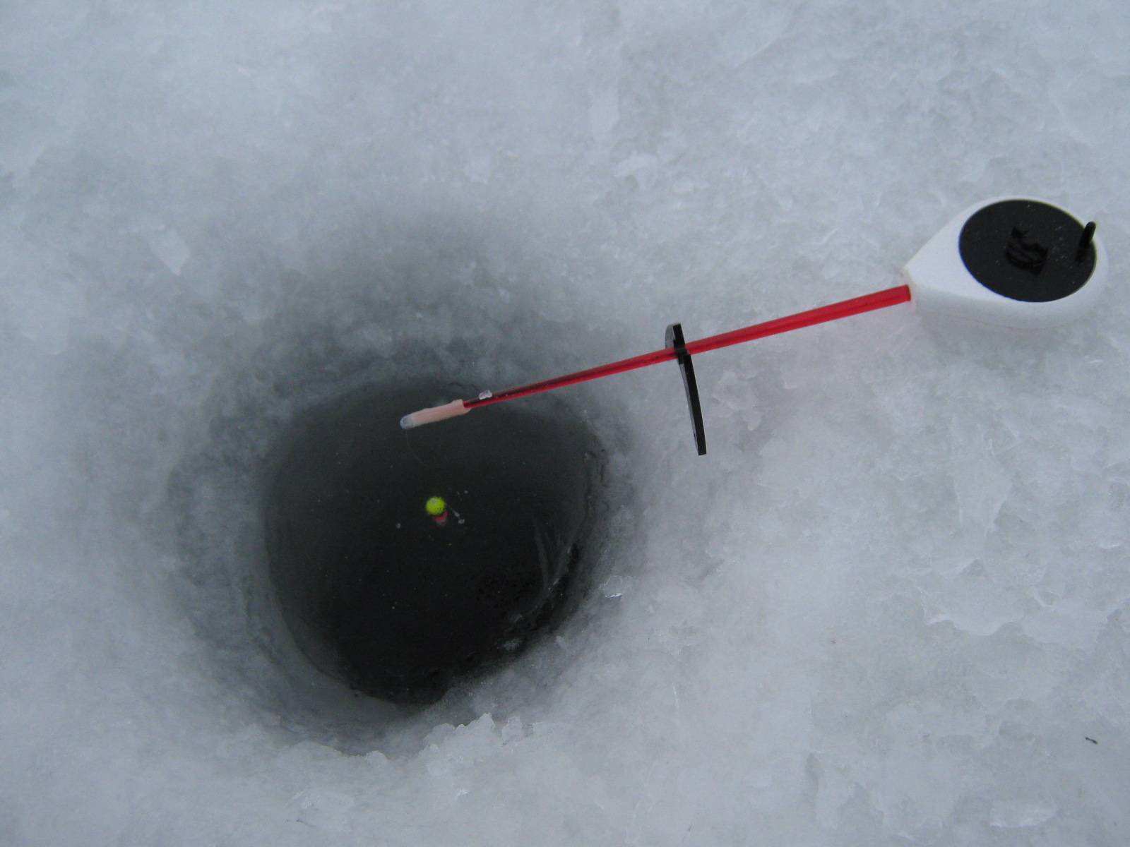 Рыбалка на плотву зимой. снасти, насадки, время ловли