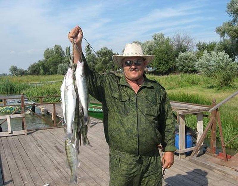 Базы отдыха на волге - астрахань лучшее место для рыбалки и отдыха всей семьёй | fishhunting