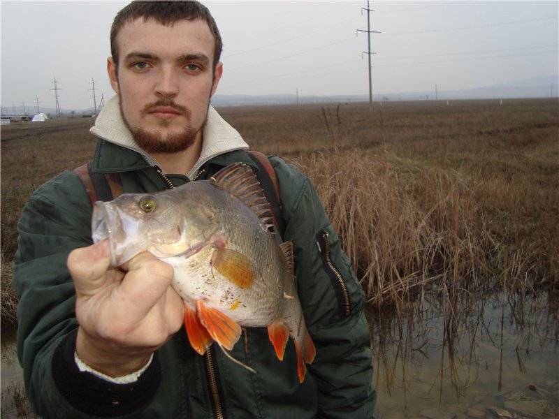 Рыбалка в ставропольском крае | карта рыболовных мест