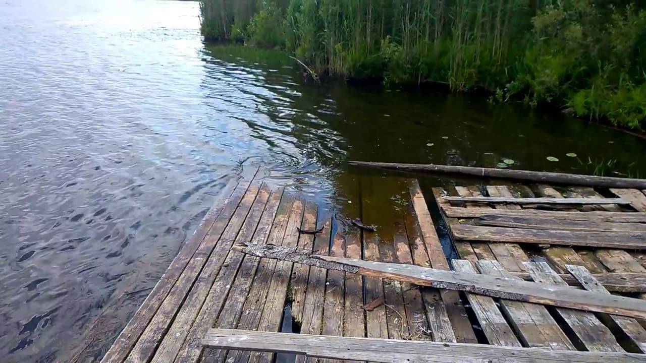 Река шоша: для рыбалки в московской и тверской областях