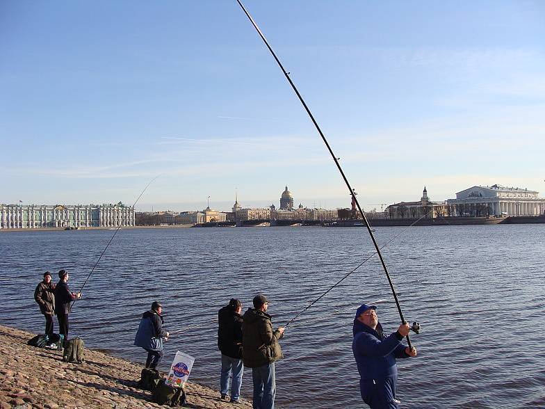 Богаты на улов: путеводитель по рыбным местам петербурга и ленобласти