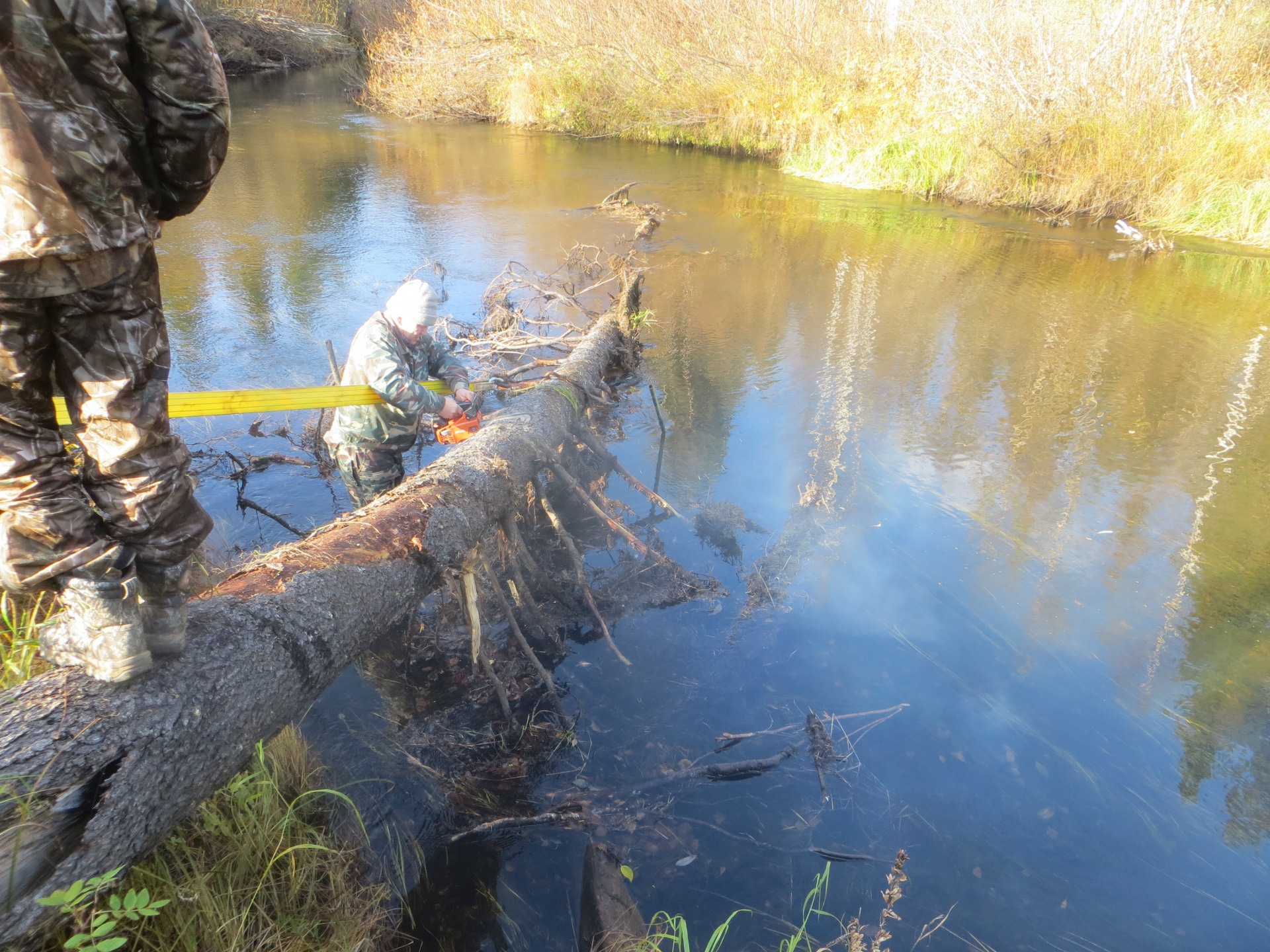 Охота и рыбалка прямой эфир смотреть онлайн