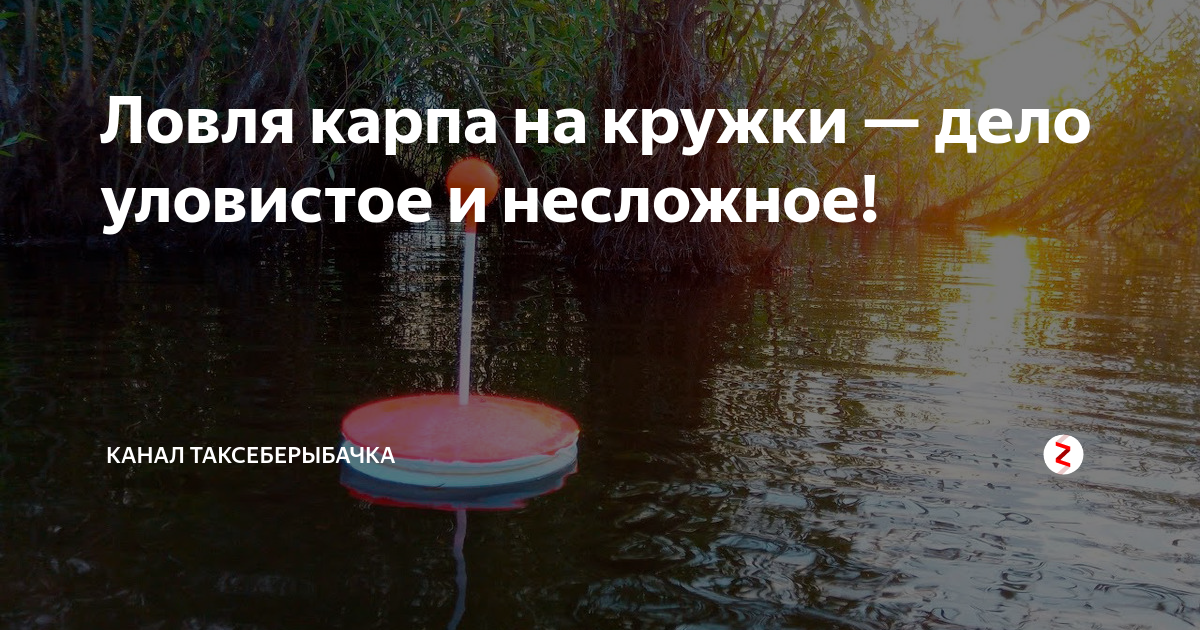 Ловля карпа на кружки: как ловить, изготовление кружков своими руками