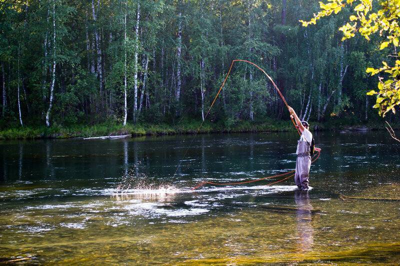 Рыбалка на лесных озерах тайги: видео, лучшие места для ловли