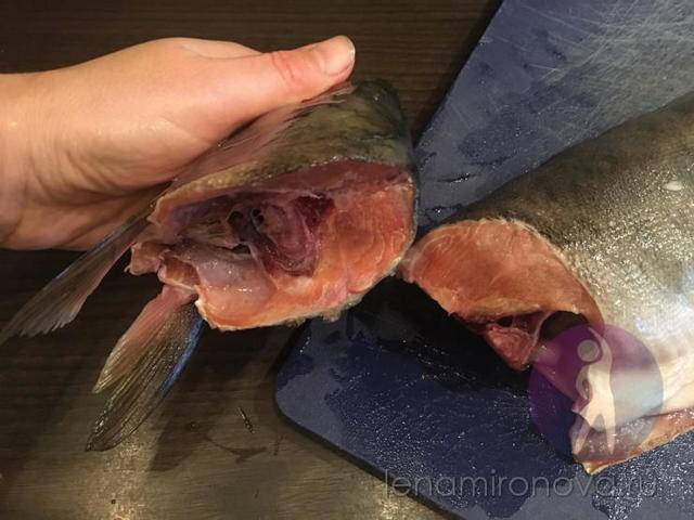 Как разделать горбушу: отделить филе от чешуи и кожи, как почистить рыбу на засолку, маленькие хитрости