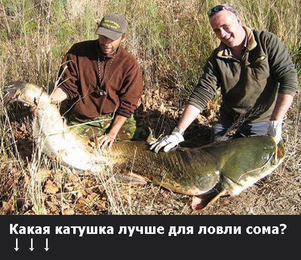 СОМы в школе: что вы о них знаете и чем они хороши