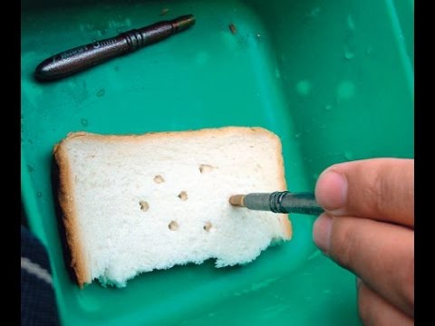 Лучшие насадки для ловли крупного леща - вечный клёв