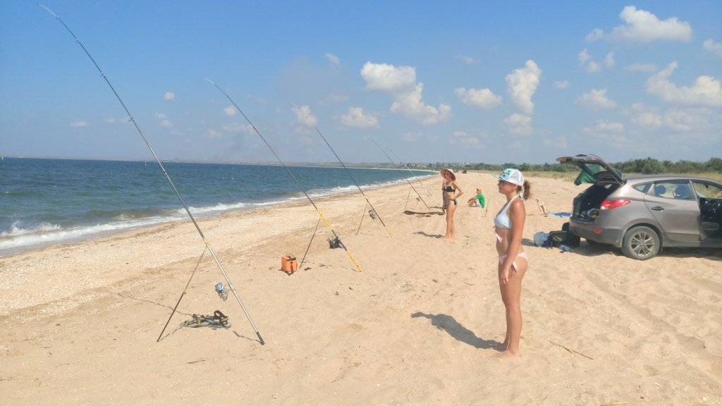 Ловля рыбы в азовском море — советы и рекомендации