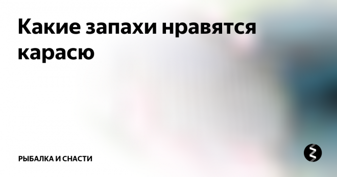 Ароматизаторы для карася: вд 40, валерьянка и другие запахи